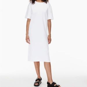 Aritzia Babaton Golding dress